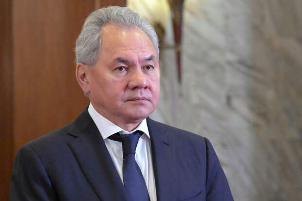 ТАСС: Шойгу передал президенту Мьянмы послание Путина