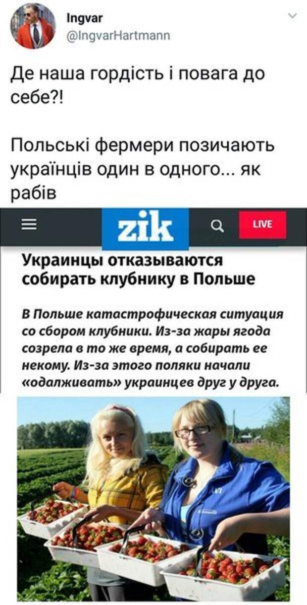Одалживают друг у друга украинцев, как рабов: Сеть обсуждает объявление о работе в Польше - Паны добрые, это перемога