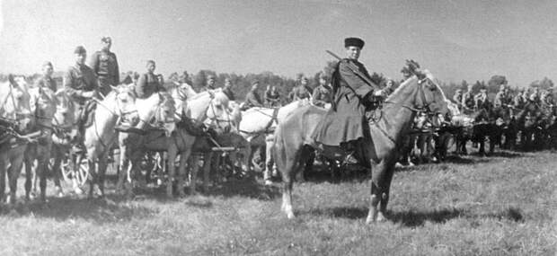 po-berlinskoj-mostovoj-koni-shli-na-vodopoj-3 По берлинской мостовой кони шли на водопой...