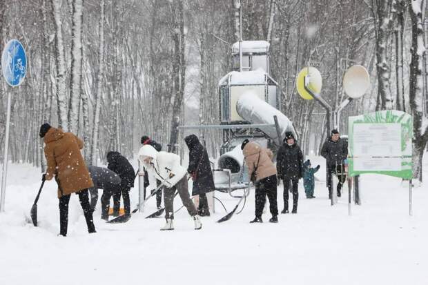 Почти 12 тысяч туляков присоединились к инициативе по уборке снега