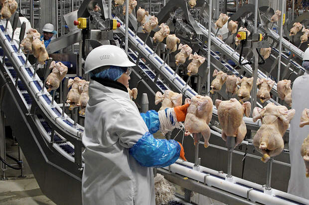 "How Am I Going To Survive?": A Costco Meatpacking Worker Speaks Of Her Fears As She And Others Labor To Keep Chicken In Stores