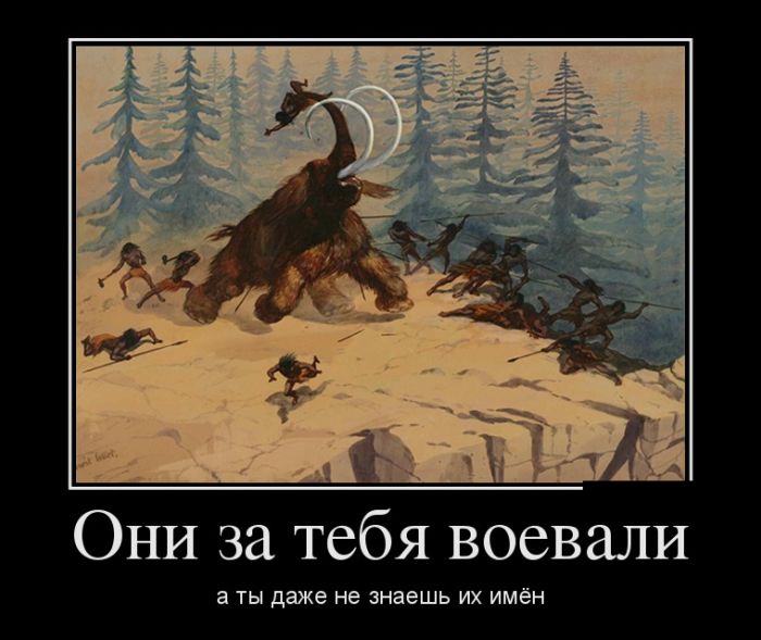 Демотиваторы (30 фото)
