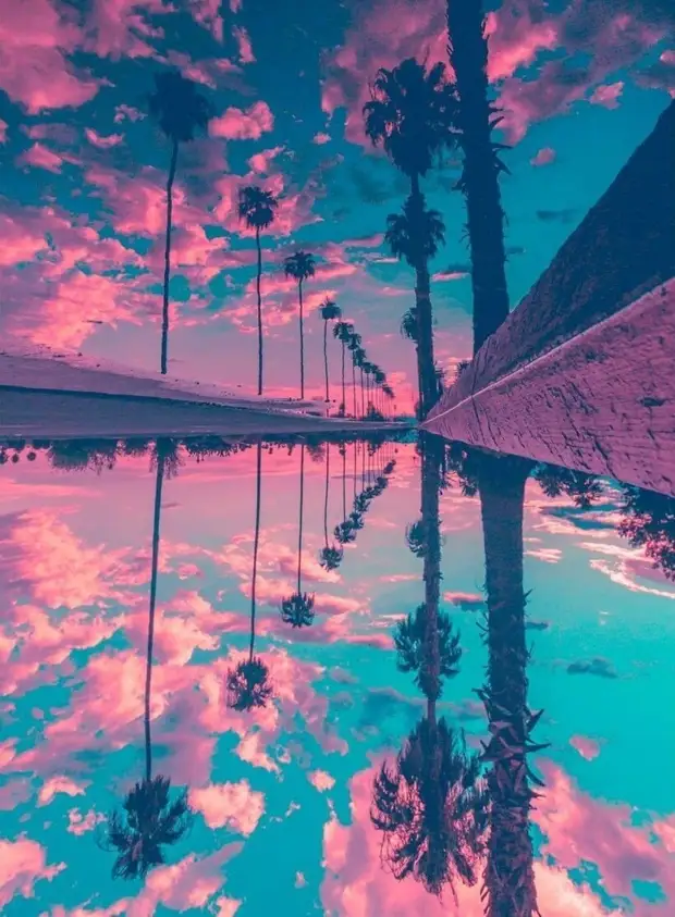 20 фото, сделанные обычными людьми, но выглядящие как работы профессионалов