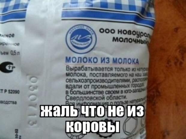 Прикольные фотомемы (25 шт)