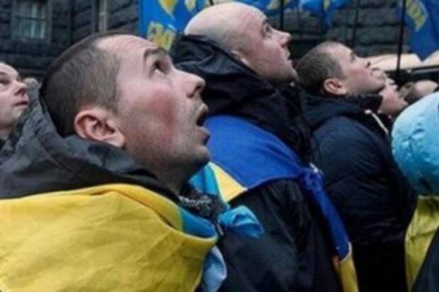 Внимание! Топ-5 самых шизоидных заявлений, сделанных на Украине 1 ноября