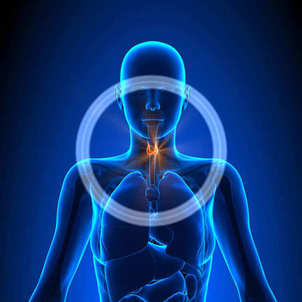 Узлы в щитовидной железе: 3 тактики