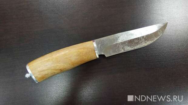 В Воронеже ученица пришла в школу с ножом