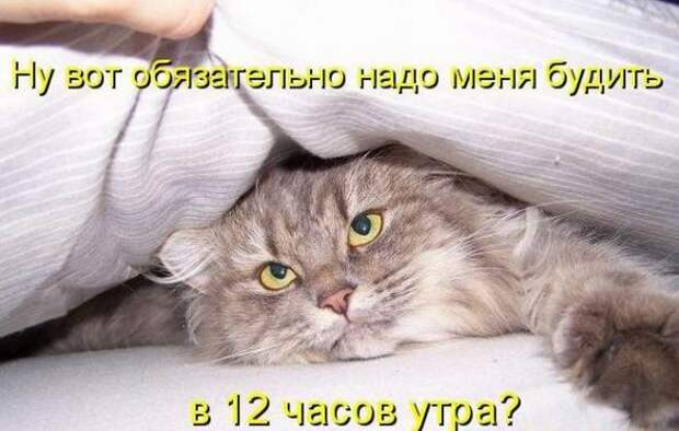 Мысли вслух :)