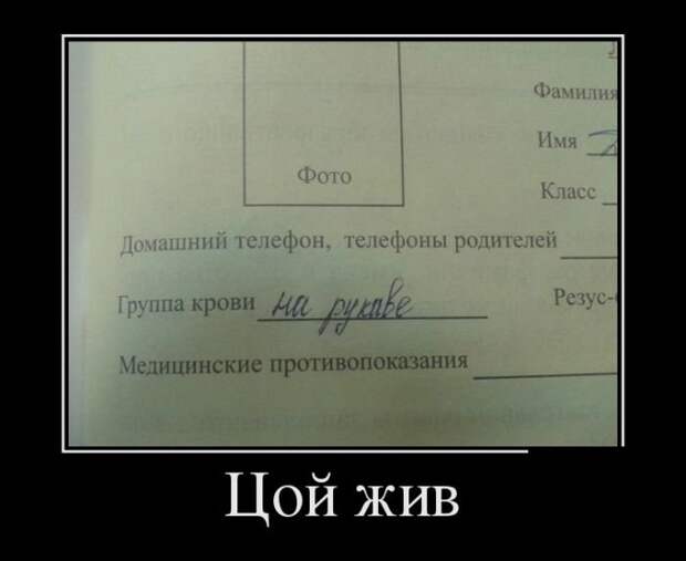 Демотиваторы на субботу (30 фото)
