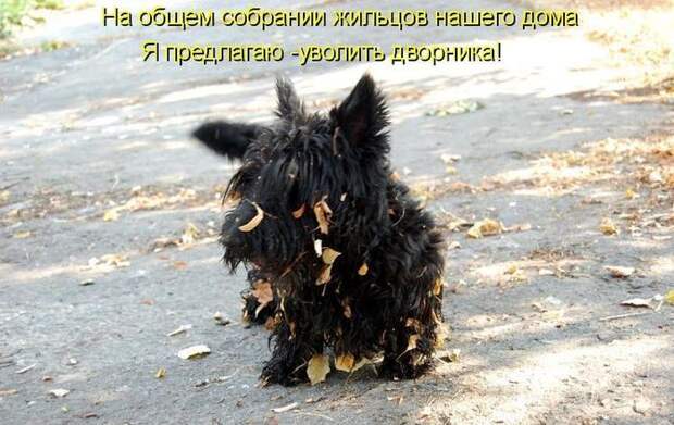 Мысли вслух :)