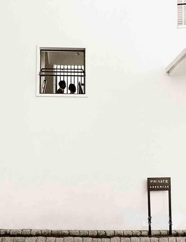 fan ho 37