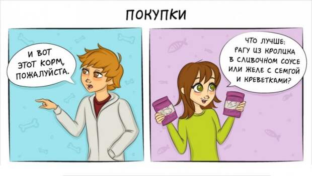 Как отличается жизнь с кошкой и жизнь с собакой 