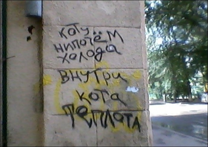 Стих про вредного кота кот, стих, юмор