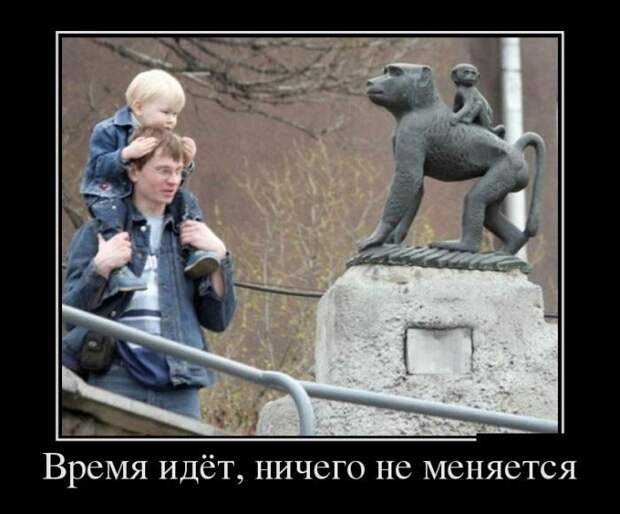 Демотиваторы