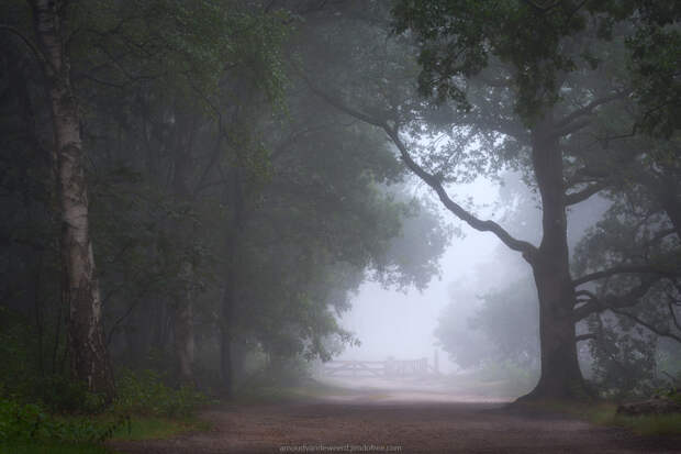 Sound of Silence by Arnoud van de Weerd on 500px.com