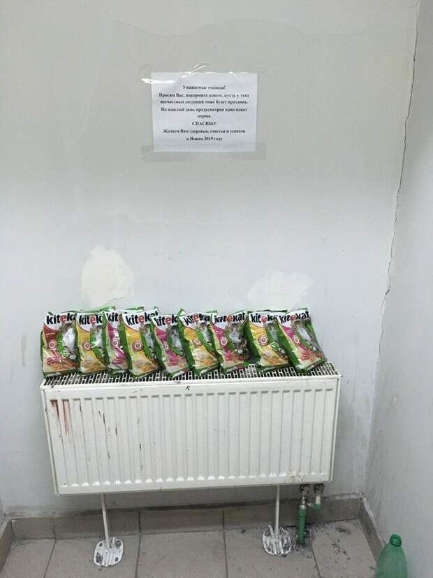 15. 15. добро, доброта, искренность, не все потеряно, отношение, помощь, россия