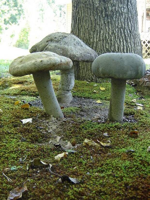 hypertufa mushrooms | Flickr - Photo Sharing!