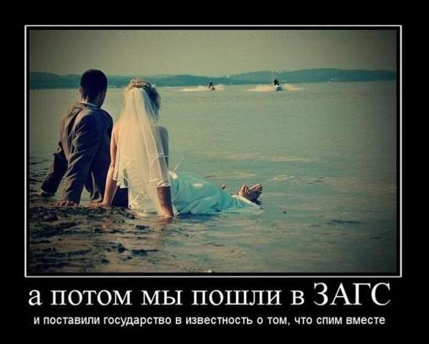 14.  Анекдоты, девушки, демотиваторы, животные, прикол, юмор