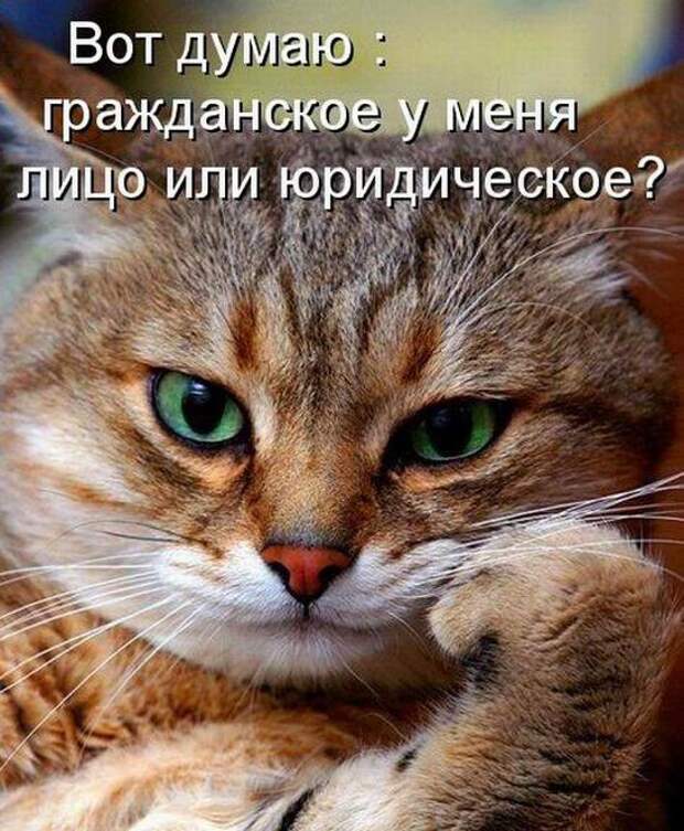 Мысли вслух :)