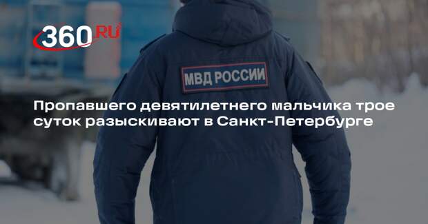 «Лиза Алерт» продолжит поиски мальчика в Петербурге в информационном реиме