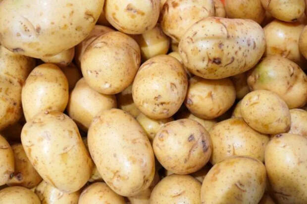 Ленивые драники: одна большая картофельная лепешка с сыром вместо десятка жареных