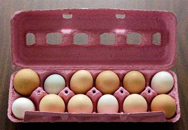 Чтобы продлить срок хранения куриных яиц, смажьте их растительным маслом перед тем, как поставить в холодильник.