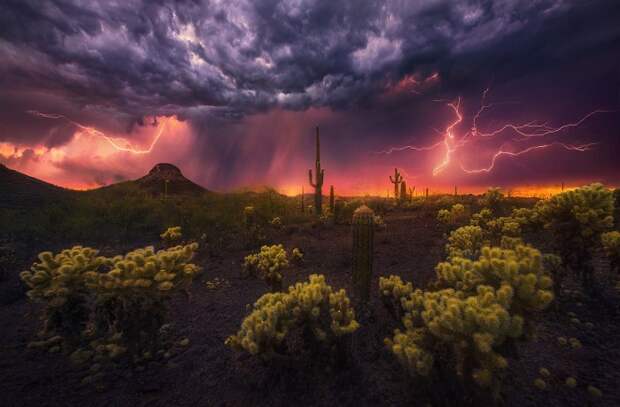 Фейерверк в пустыни. Автор фотографии: Марк Адамус.