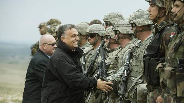 «Учтем настроения Зеленского»: нацисты угрожают занять Будапешт и Тирасполь «двумя бригадами»