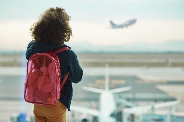 Суд изъял в пользу государства разработчика системы бронирования Leonardo