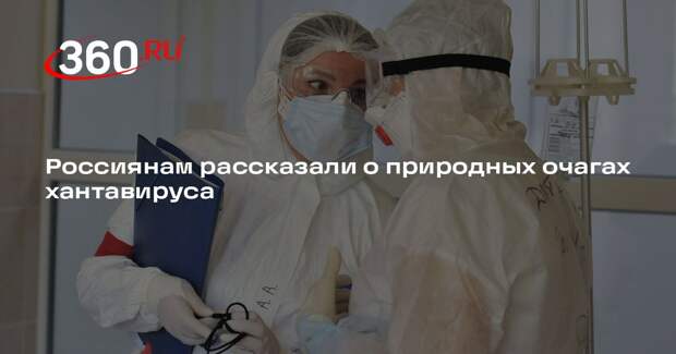 Роспотребнадзор: для россиян хантавирус не опасен