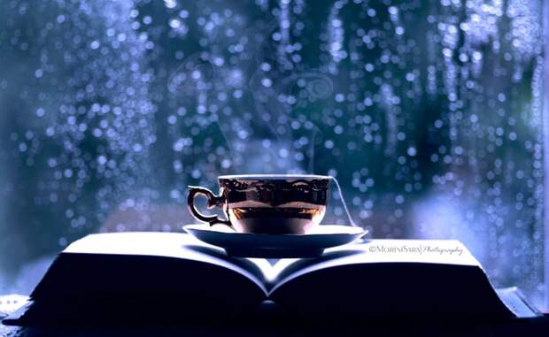 Картинки по запросу 10 потрясающих книг которые читаются за один день