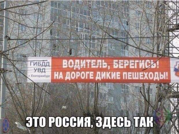 Прикольные фотомемы