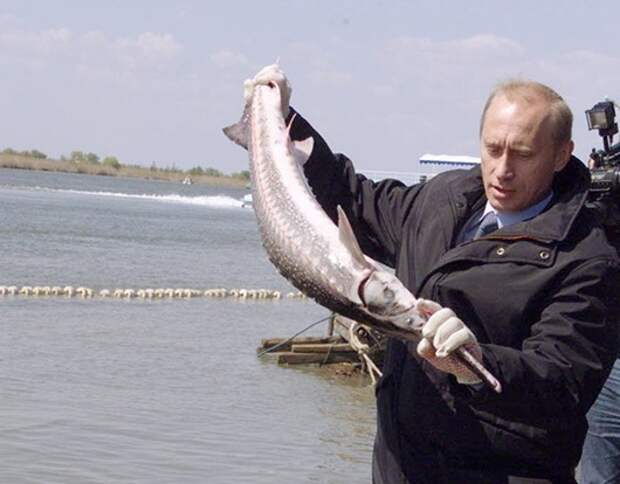 TASS_67972