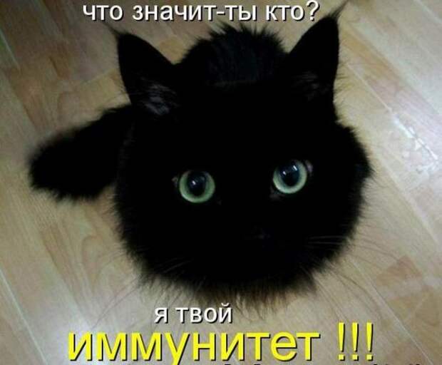 Мысли вслух :)