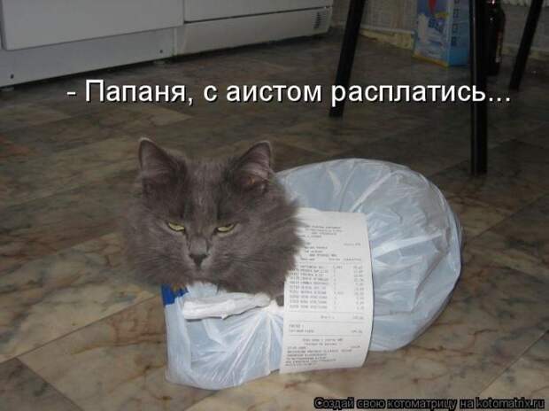 Мысли вслух :)