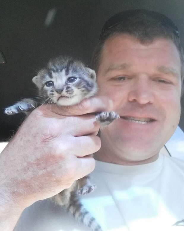 котенок в руках