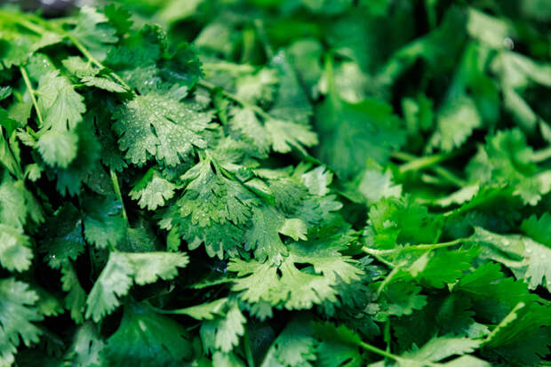 Россиянам назвали продукт для повышения либидо