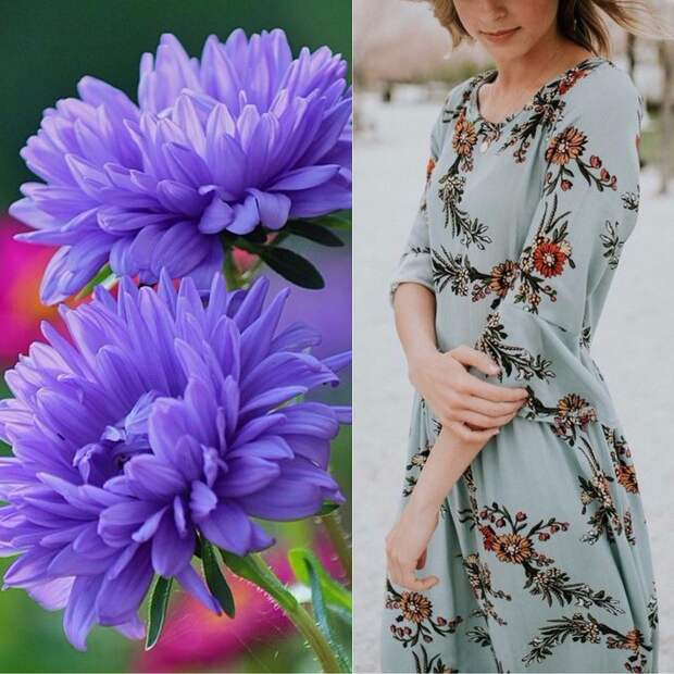 девушки и цветы