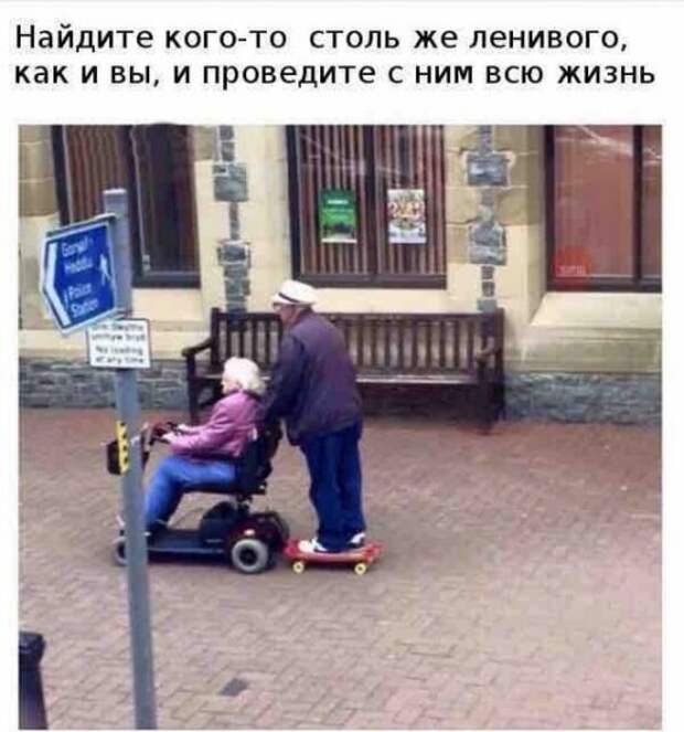 Прикольные фотомемы (25 шт)