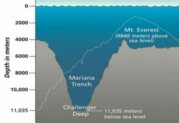 Получается, что «Бездна Челленджера» находится дальше от морского уровня, чем пик Эвереста / Фото: cf2.ppt-online.org