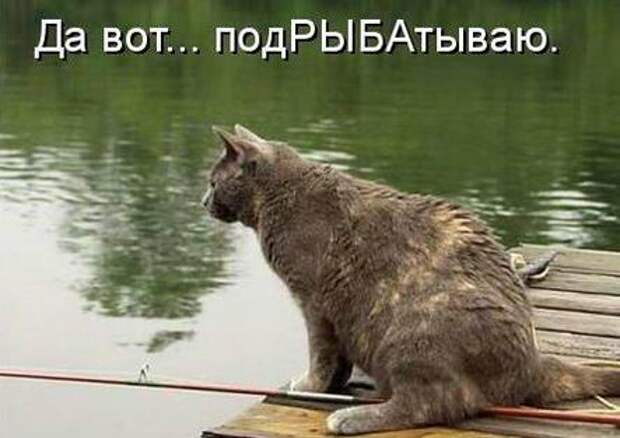 Мысли вслух :)