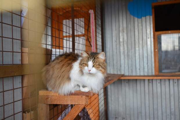 Фото: Александр Кочубей