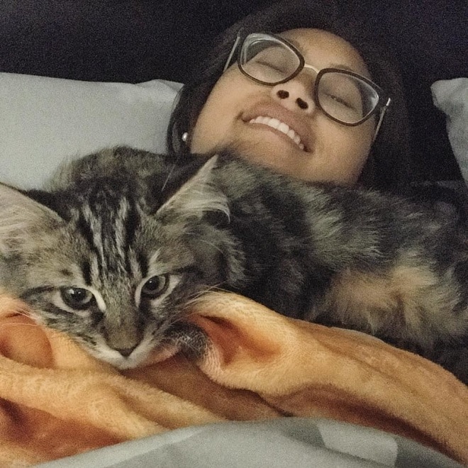 Кот на кровати Кот лежит на девушке