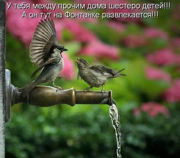 Мысли вслух :)