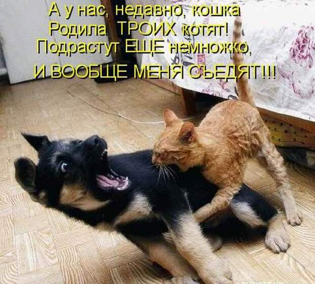 Мысли вслух :)