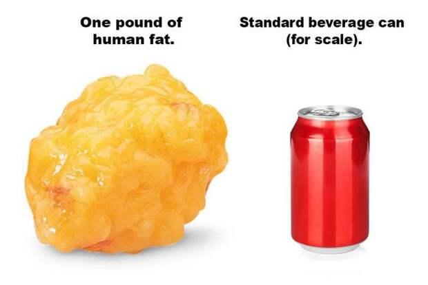3. Один килограмм человеческого жира содержит примерно 7000 калорий. здоровье, интересно, факты