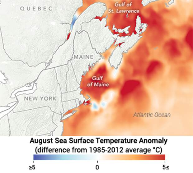 a map showing record high sea surface temperatures in the Gulf of Maine in August of 2018