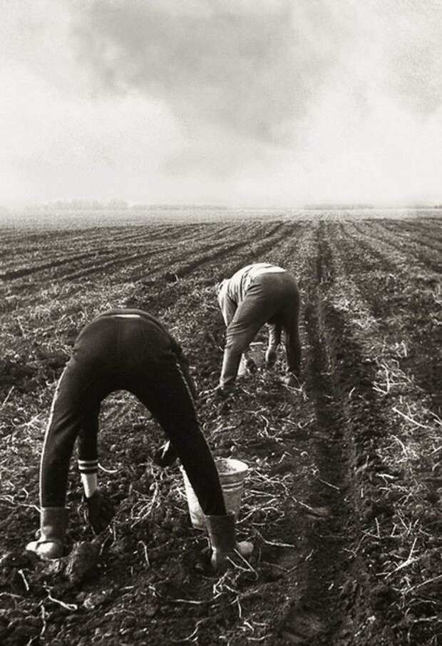 Жизнь в Советской России: Частные мгновения