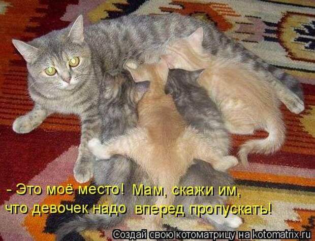 Мысли вслух :)