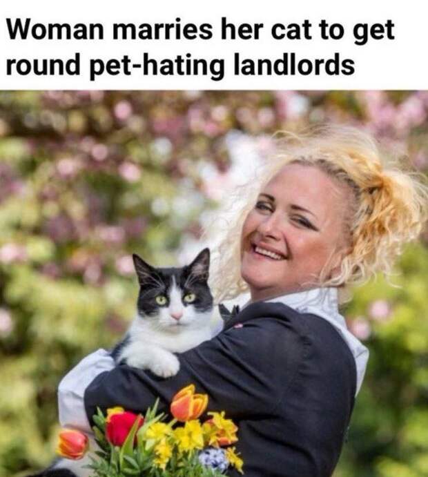 Англичанка вышла замуж за свою кошку чтобы решить квартирный вопрос. Не шутка